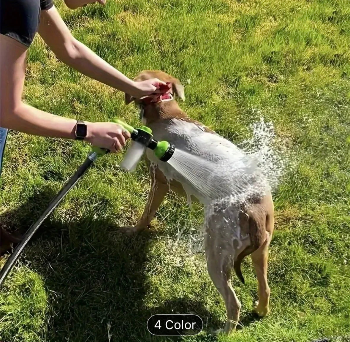 Animal Washer Nd Garden Help For Nowadays